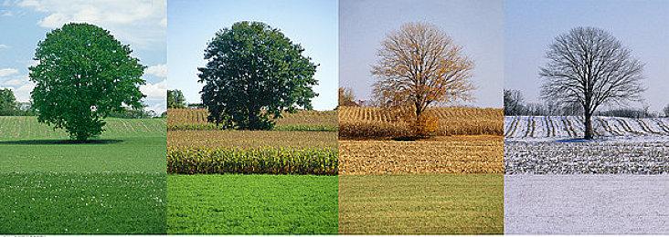 曝V社内部觉醒派力量抬头 玩家担心Steam的未来