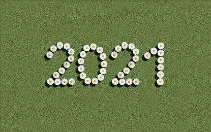 生存策略模拟游戏《黑夜降临》现已推出试玩Demo 2025年第二季度抢先体验发售